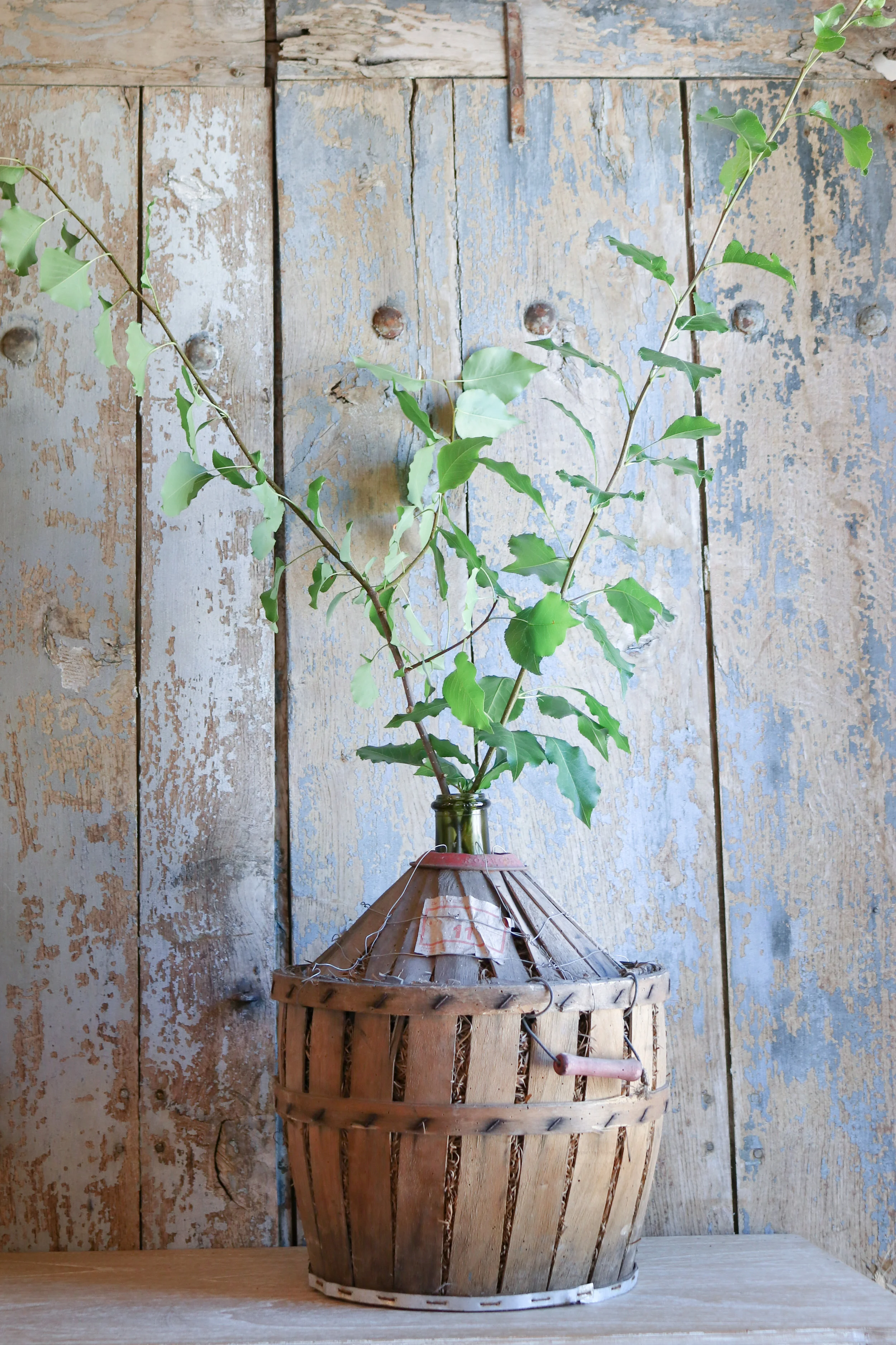 Decorating with Vintage Deminjohn Bottles Decorating with Vintage Deminjohn Bottles